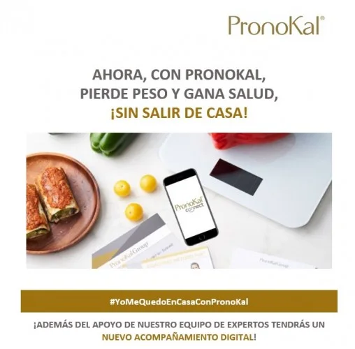pronokal-connect