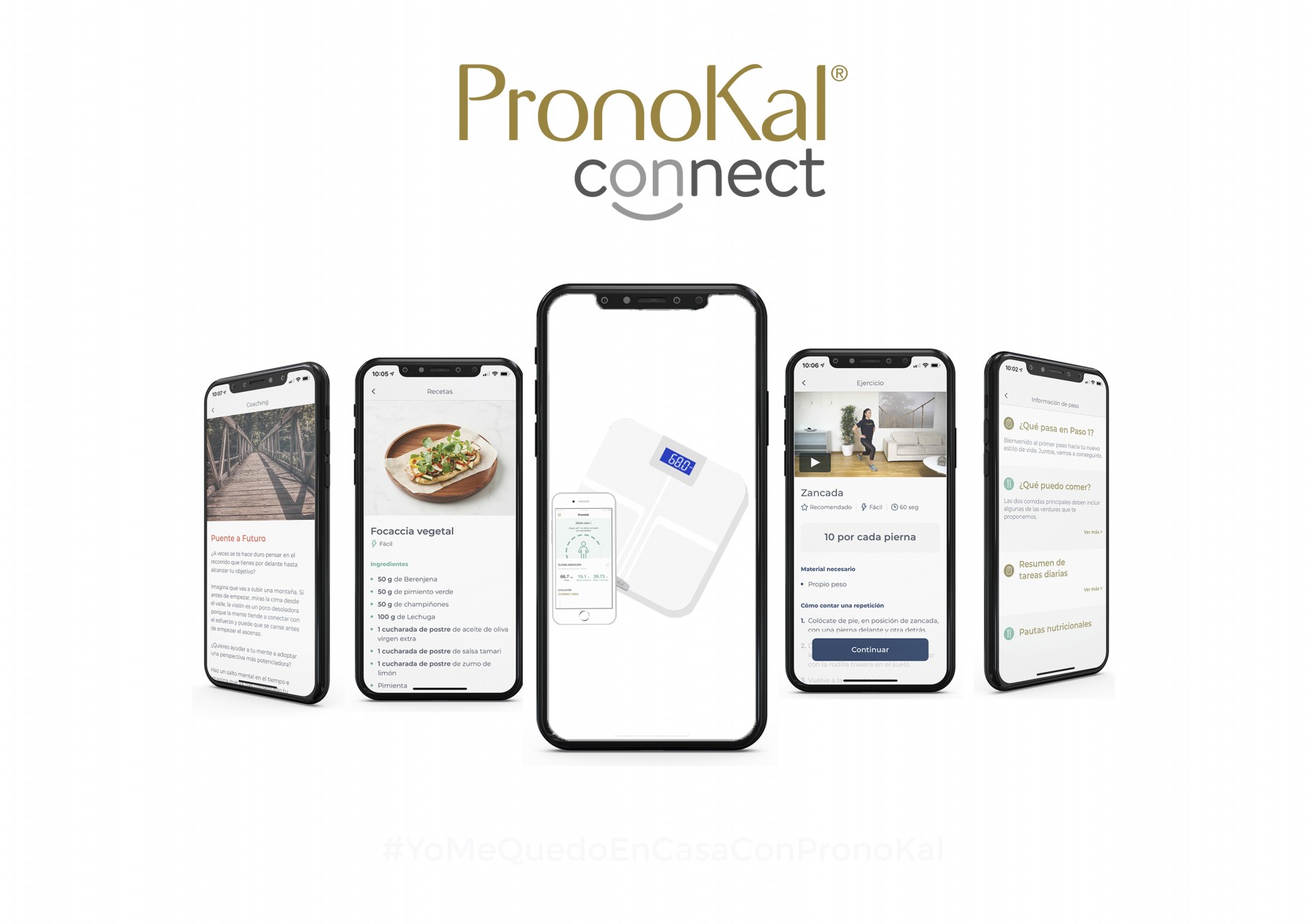 PronoKal Connect